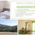 Margherite (1)