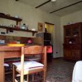 Ortensia (1)