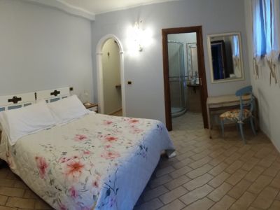 L'ortensia