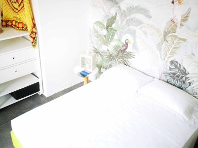 Camera Suite 