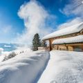 Chalet (1)
