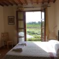 Oleandro (1)
