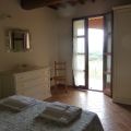Ginestra (1)