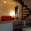 Cincilla (1)
