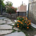 Cincilla (2)