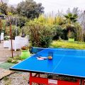 Suite IL CAMALEONTE D'ORO (3)