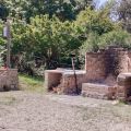  IL CAMALEONTE A POIS  (4)