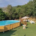  Suite IL CAMALEONTE D'ORO (8)