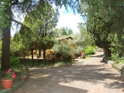 Cottage Ciliegio