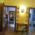 Cottage Ciliegio (2)
