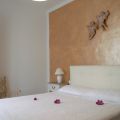 la rosa (1)