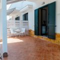 Rosmarino (PET)  (5)