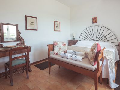 ULIVO