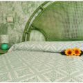 Camera Verde (1)