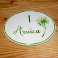 Camera Arnica (1)