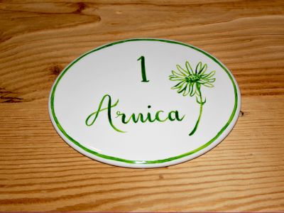 Camera Arnica