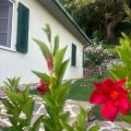 luppolo (4)