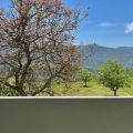 Appartamento Bellavista (6)