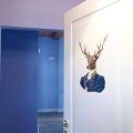 Blue Room (1)