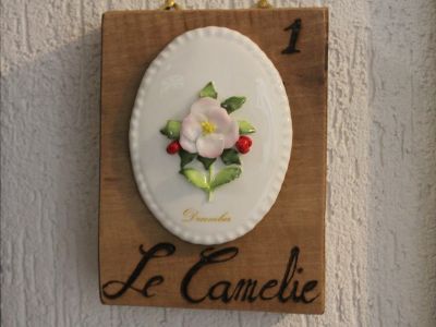 CAMERA 1  LE CAMELIE