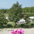 Papavero (1)
