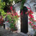 Appartamento Fiorito (1)