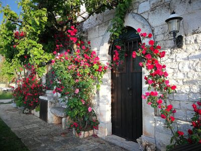 Appartamento Fiorito