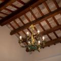 Salus (7)