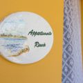 APPARTAMENTO RENOIR (5)