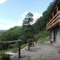 AGRICAMPEGGIO (3)