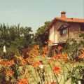 Camera Nespolo (1)