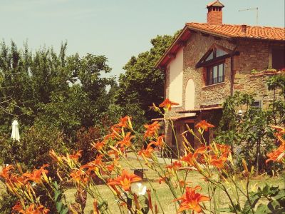 Camera Nespolo