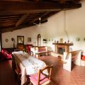 FORESTERIA  (3)