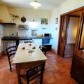 SAN BARTOLOMEO APT - CERRETO  (1)