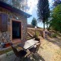 N.4 oliveto (1)