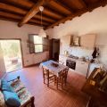 N.4 oliveto (2)