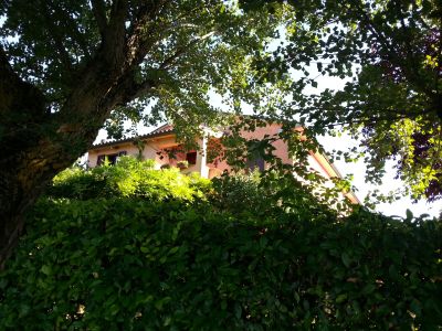 casale Rosmarino