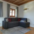 Traube (1)