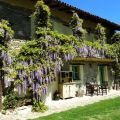 La Lavanda (3)