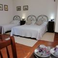 Camera 11 (1)