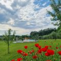 Appartamento Bilocale (3)
