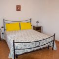 GINESTRA (1)