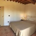 Cipressi (1)