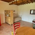 Cipressi (2)