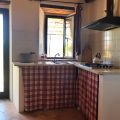Cipressi (3)
