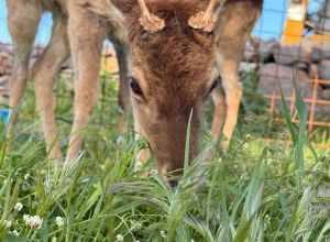 Descrizione delle stanze 3