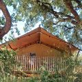 Lodge SUGHERA (1)