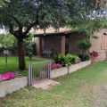 Gelsomino (1)