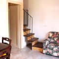 Gelsomino (4)