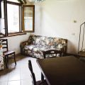 Oleandro (2)